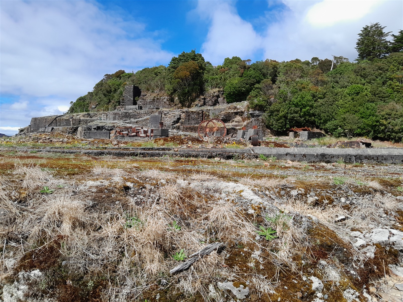 Near Waimangaroa ~ Tuesday, 10 March